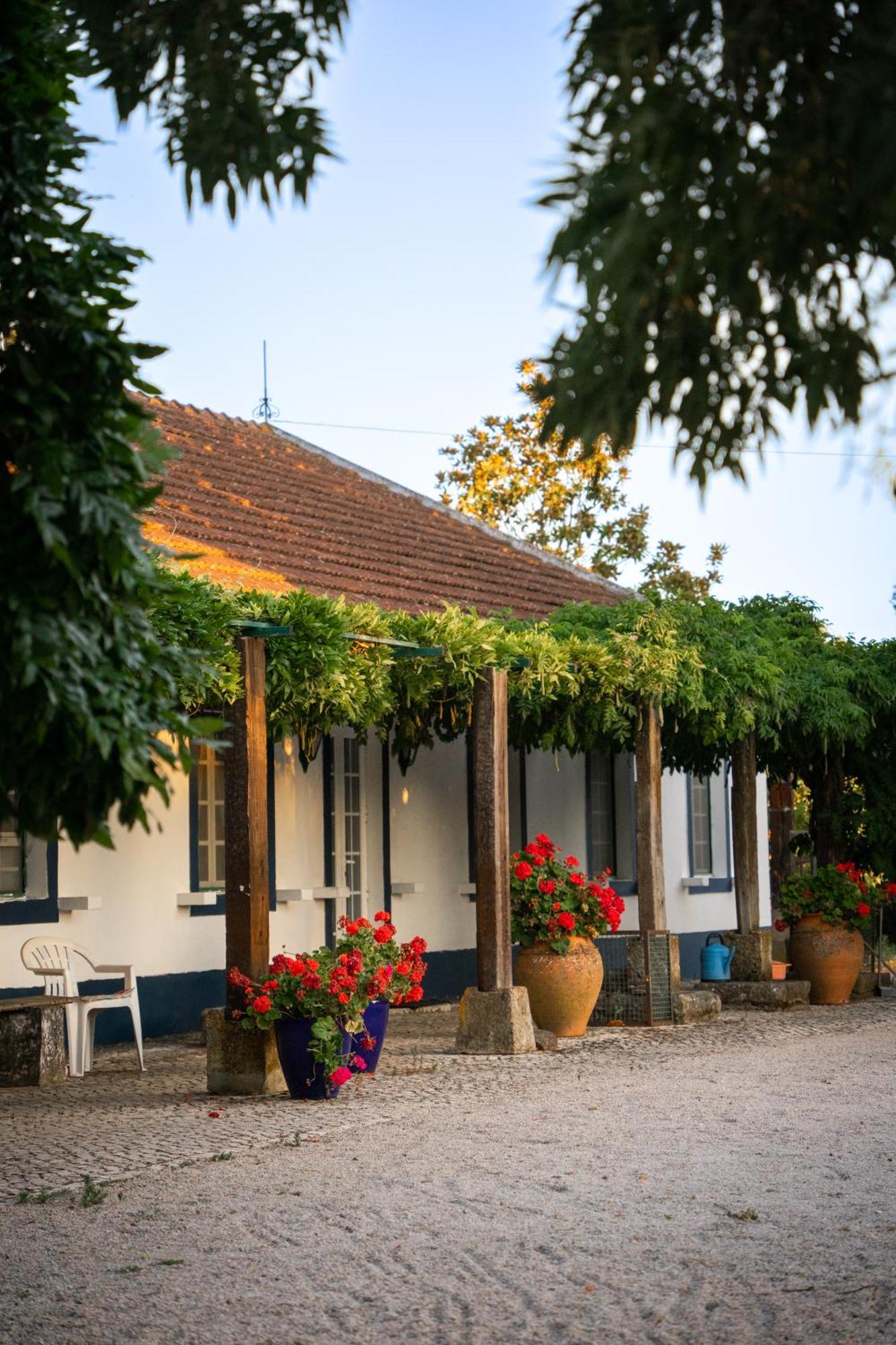 Quinta Do Archino Bauernhof Alenquer